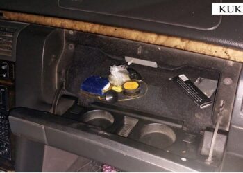 19-vjeçari kapet me kanabis dhe shkop bejsbolli në mjetin e tij