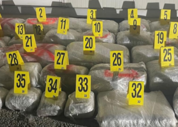 Kapen 182 kg marihuanë, dyshohet se ishte transportuar nga Serbia