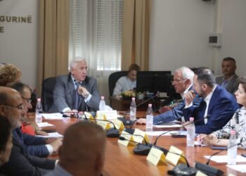 Salianji: Për çfarë sigurie flasim kur shteti i luan syrin krimit