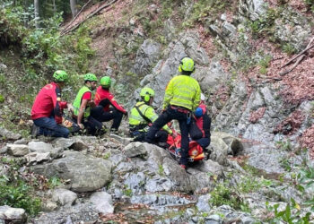 EMRI/ Doli të mblidhte kërpudha, humb jetën shqiptari në Itali