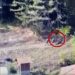 VIDEO/ Si e braktisin shokun e tyre të plagosur terroristët serbë