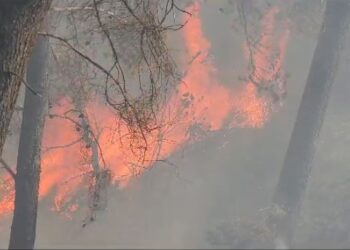 Prej 6 ditësh në flakë, vazhdon beteja në pyllin e Pishporos