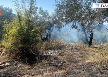 Dogji me barishtet edhe pemët e fqinjëve, procedohet i moshuari