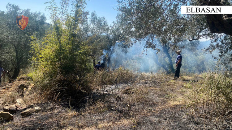 Dogji me barishtet edhe pemët e fqinjëve, procedohet i moshuari