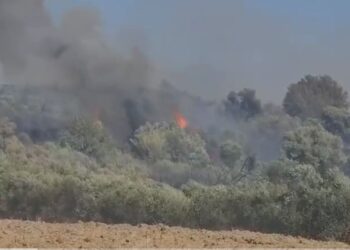 Zjarr përfshin kodrat me ullishte në Fier, era favorizon flakët