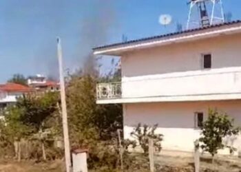 VIDEO/ Deputeti ngre alarmin: Fshati Kraps po përpihet nga flakët