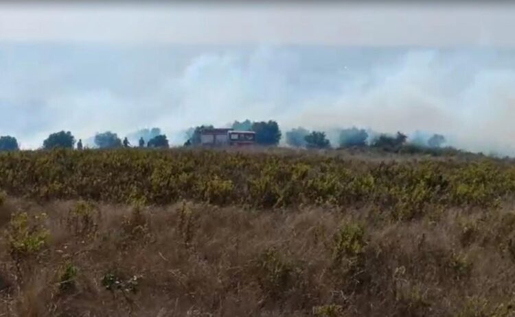 Zjarri në Libofshë, banorët: Jemi të rrezikuar, po na digjen shtëpitë