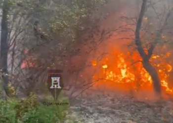 Prej 8 ditësh vazhdon beteja me flakët në Pishporo dhe Darëzezë