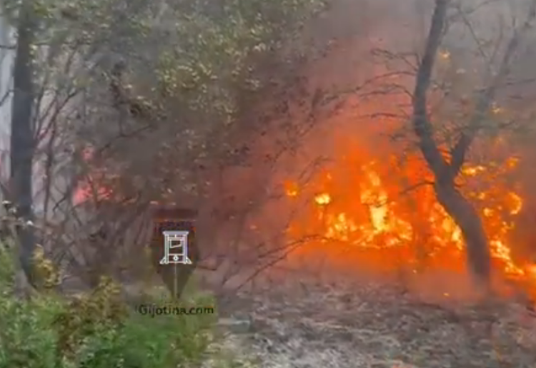 Prej 8 ditësh vazhdon beteja me flakët në Pishporo dhe Darëzezë