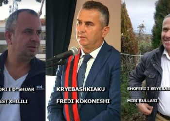 Plagosi me thikë kryebashkiakun e Divjakës, dërgohet në gjyq autori