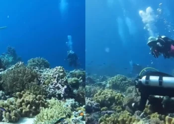 VIDEO me pamjet e rralla/ Çfarë ndodh në fund të detit kur bie tërmet