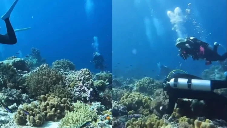 VIDEO me pamjet e rralla/ Çfarë ndodh në fund të detit kur bie tërmet