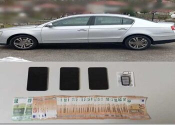 Lejonte kalimin e kanabisit në Kapshticë, foto e shefit të policisë