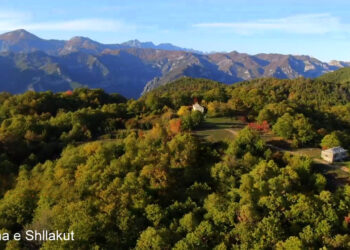 Erdhi nga Amerika për të investuar në Shqipëri, denoncimi që rrëzon propagandën e Ramës