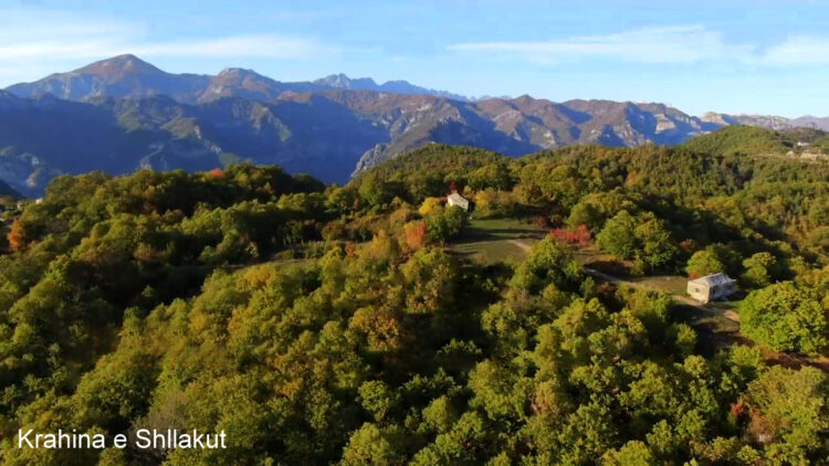 Erdhi nga Amerika për të investuar në Shqipëri, denoncimi që rrëzon propagandën e Ramës