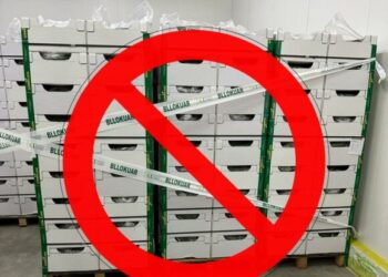 Me nivel të lartë pesticidesh, bllokohen 20 ton kastraveca