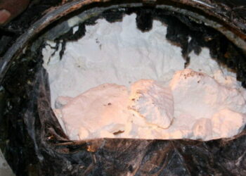 U kap me 1.5 kg kokainë, si ra në pranga shqiptari në Torino