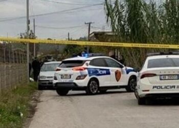 Vrau fqinjin për 1 kanal, autori u kthye nga Anglia 1 javë më parë/ Detajet