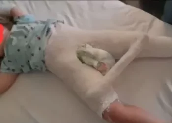 Vajza filloi duke folur rrjedhshëm tek “Trauma”: Edukatorja më rrahu