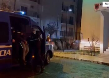 Lëvizte i armatosur nëpër qytet, arrestohet 32-vjeçari në Rrëshen