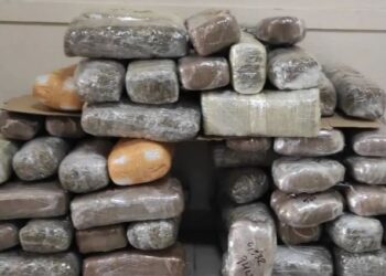 Kapen 75 kg marijuanë në Igumenicë, po transportohej nga Shqipëria