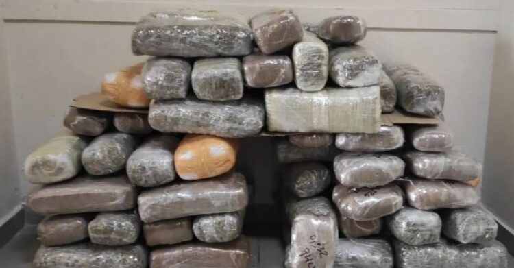 Kapen 75 kg marijuanë në Igumenicë, po transportohej nga Shqipëria