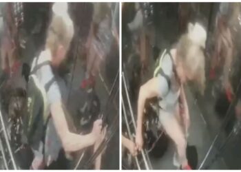 Keqtrajtimi i qenve në një ashensor në Tiranë, procedohet 51-vjeçarja