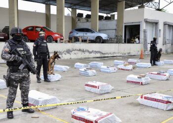 Mediat ekuadoriane: Lidhjet e Dritan Rexhepit me kupolën politike (Detajet)