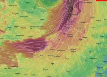 “Ciaran” godet Europën Perëndimore, disa viktima. Shkulen pemë dhe … (VIDEO)