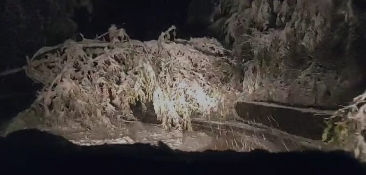 “Horror”/ Rrugët e bllokuara në Dibër, qytetarët në mëshirë të fatit