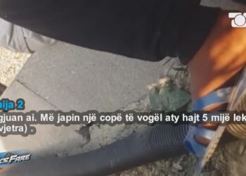 “3 boçe 5 mijë lekë”, të mitur nga 8-12 vjeç të drejtojnë tek shitësit e hashashit