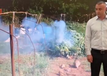 Lidhje me trafikantët e Shkodrës? Rikthehen në detyrë shefi Hajri Kushe dhe oficerët e tij