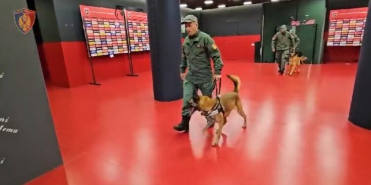 Shqipëri-Ishujt Faroe, RENEA kontroll me qen në “Air Albania”/ Ç’po ndodh (FOTO)