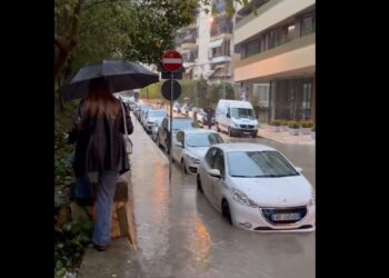 VIDEO/ Erion Braçe: Të kërcesh si majmun për të vajtur në punë