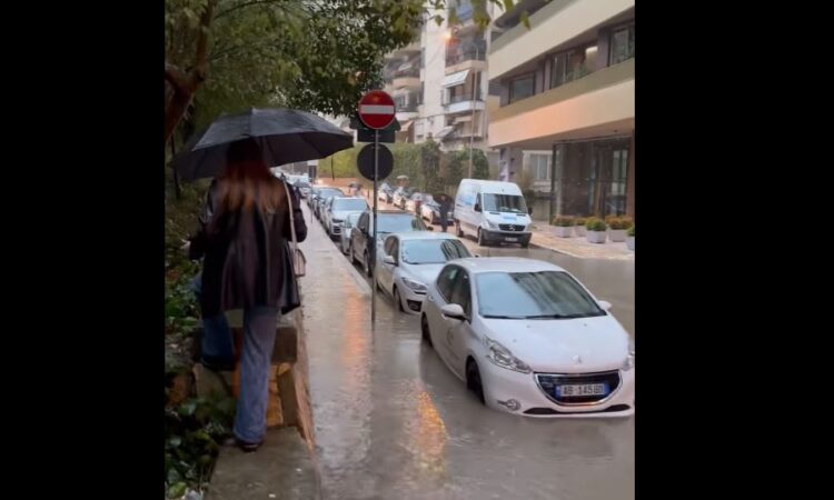 VIDEO/ Erion Braçe: Të kërcesh si majmun për të vajtur në punë