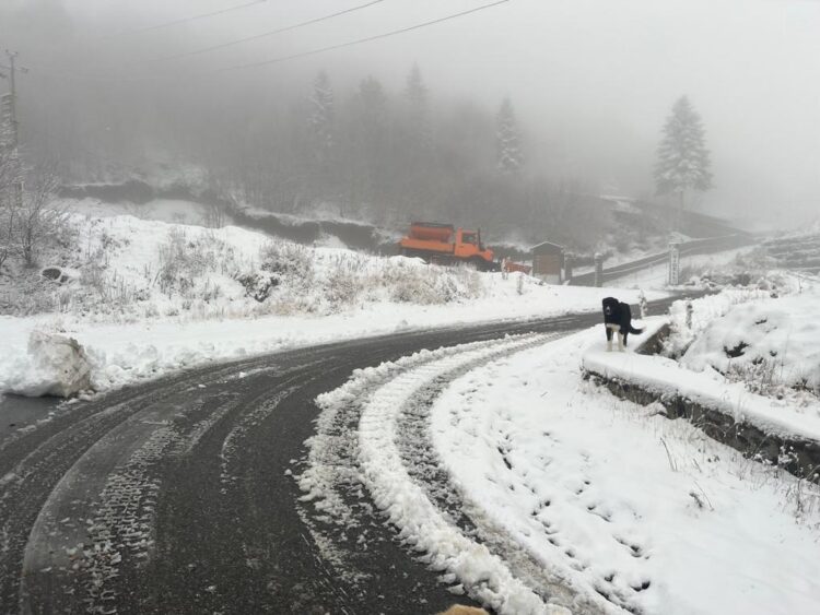 Reshjet e dëborës mbulojnë juglindjen, ja akset problematike