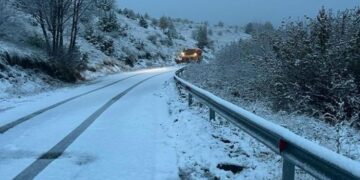 Ulen temperaturat, Dardha zbardhet nga dëbora