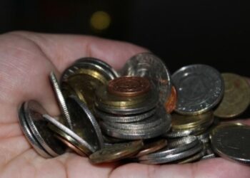 I riu shkon të paguajë gjobën me një valixhe plot me monedha