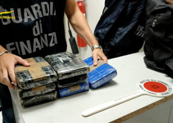 Çmontohet rrjeti i trafikut të drogës, ka edhe shqiptarë mes të arrestuarve