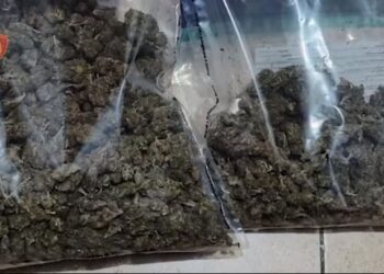 EMRAT/ Tregtonin drogë afër shkollave, arrestohen 4 persona në Kavajë