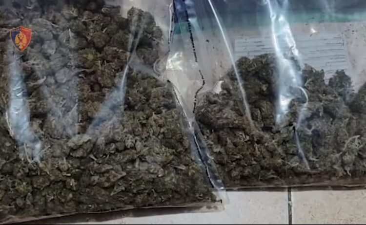 EMRAT/ Tregtonin drogë afër shkollave, arrestohen 4 persona në Kavajë