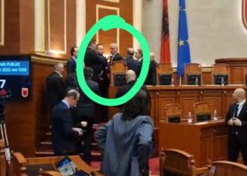 Salianji: Ja kush është gardisti që kishte armë në sallën e Kuvendit (VIDEO)