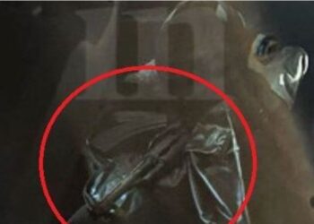 Atentat apo grabitje? ADN-ja ‘tradhton’ shqiptarin në Greqi