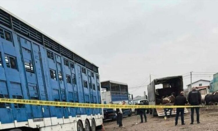 Hidhet granatë dore në Prizren, raportohen të lënduar