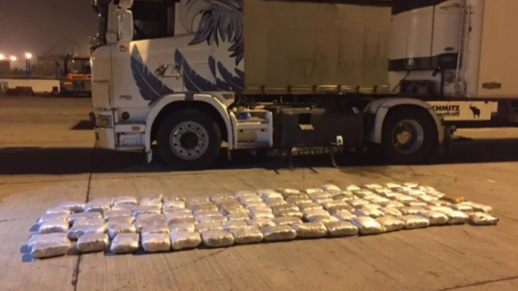 “Dajën e kemi bishë”, “O drejtor, na vjedhin mallin në Meksikë”/ Detajet nga bisedat në SKY