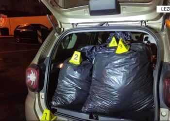 Kapen me 3 thasë kanabis, arrestohen tre persona në Lezhë