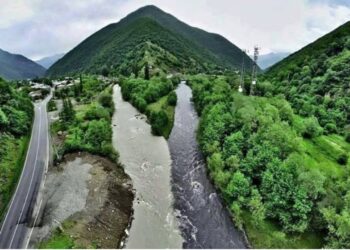 E çuditshme, dy lumenj lundrojnë në një shtrat, por s’përzihen kurrë
