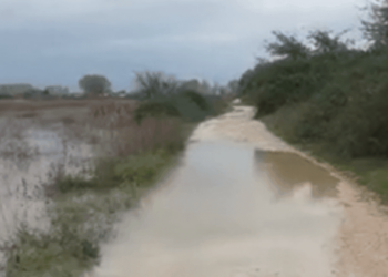 Lumi “Ishëm” rrezikon të dalë nga shtrati, përmbyten disa fshatra