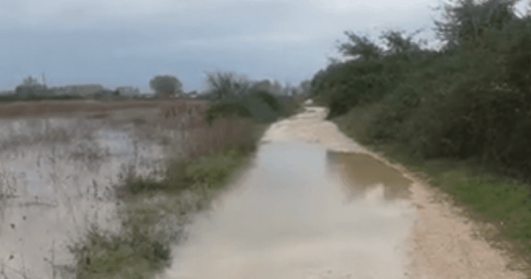 Lumi “Ishëm” rrezikon të dalë nga shtrati, përmbyten disa fshatra