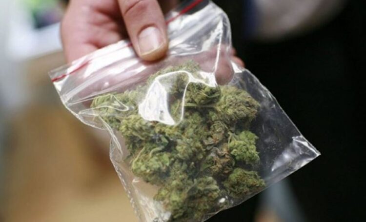 Shiste kanabis pranë shkollave, arrestohet 20-vjeçari nga Kashari